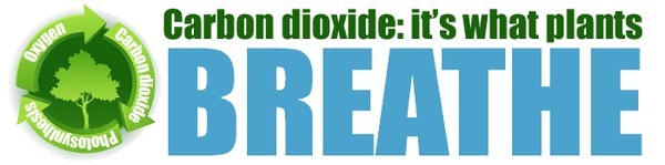 Carbon Dioxide Is Essential To Life On Earth